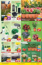 Rasenmäher im Netto Marken-Discount Prospekt in Goslar Aktueller Netto Marken-Discount Prospekt mit Rasenmäher, "Aktuelle Angebote", Seite 13
