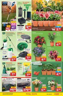 Pflanzen im Netto Marken-Discount Prospekt "Aktuelle Angebote" mit 51 Seiten (Hannover)