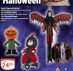 Horror-Puppe auf Fahrrad Angebote bei GLOBUS Halle für 24,99 €
