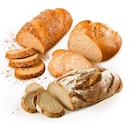 Aktuelle Brötchen Angebote bei Netto Marken-Discount in Bottrop Aktuelles 10% Rabatt Angebot bei Netto Marken-Discount in Bottrop