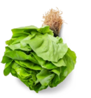 Aktuelles Kopfsalat Angebot bei Kaufland in Duisburg ab 0,99 €