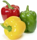 Marktkauf Aschaffenburg - Mixpaprika Angebot im Prospekt Mixpaprika bei Marktkauf im Aschaffenburg Prospekt für 1,79 €