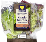 Aktuelles Herzstücke Blattsalat-Mix Angebot bei EDEKA in Mannheim ab 0,99 €