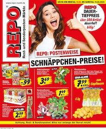 Repo Prospekt mit 12 Seiten (Flöha)