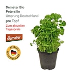 GLOBUS Mannheim - Bio Petersilie Angebot im Prospekt Bio Petersilie bei GLOBUS im Mannheim Prospekt für