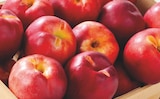 Nectarine dans le catalogue Netto