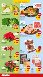 Aktueller Penny Prospekt mit Hackfleisch, "Wer günstig will, muss Penny.", Seite 34