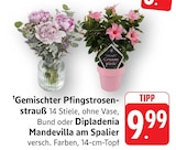 EDEKA - Gemischter Pfingstrosenstrauß Angebot im Prospekt Gemischter Pfingstrosenstrauß bei EDEKA im Prospekt "" für 9,99 €