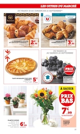 Plante Verte Angebote im Prospekt "U Express" von U Express auf Seite 15