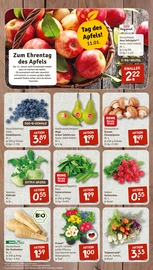 Pflanzen im nahkauf Prospekt in Goslar Aktueller nahkauf Prospekt mit Pflanzen, "nichts liegt näher", Seite 3