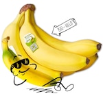 NATURGUT Bio-Bananen bei Penny im Mildenau Prospekt für 1,79 €