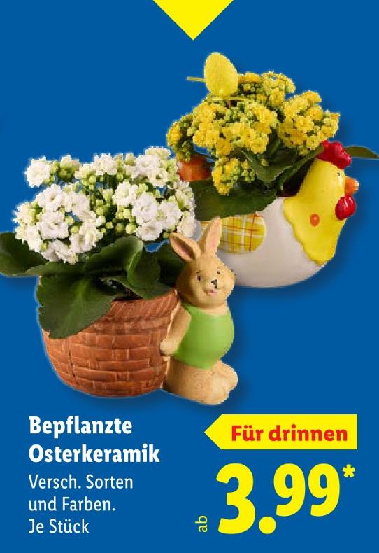 Bepflanzte Osterkeramik