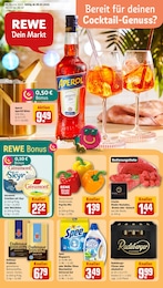 Der aktuelle REWE Prospekt Der aktuelle REWE Prospekt Dein Markt