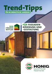 Honig Baustoffe Prospekt "Trend-Tipps FÜR DIE ENERGETISCHE SANIERUNG" für Aerzen, 11 Seiten, 24.05.2024 - 02.06.2024
