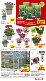 Gartenerde im toom Baumarkt Prospekt in Haltern am See Aktueller toom Baumarkt Prospekt mit Gartenerde, "Respekt, wer's selber macht.", Seite 3