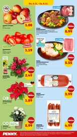 Stauden im Penny Prospekt in Bremen Aktueller Penny Prospekt mit Stauden, "Wer günstig will, muss Penny.", Seite 38