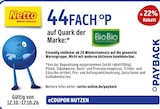 44FACH °P von Payback im aktuellen Netto Marken-Discount Prospekt für 