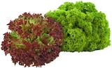 Bunte Salate im REWE Prospekt Bunte Salate von REWE Bio im aktuellen REWE Prospekt für 1,99 €