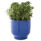 Pot "Moonlight" ECLOZ à Gamm vert dans Attainville