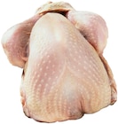 Französische Puten Angebote bei METRO Dinslaken für 4,59 €