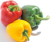 Netto mit dem Scottie Baabe - Paprika-Mix Angebot im Prospekt Paprika-Mix bei Netto mit dem Scottie im Baabe Prospekt für 1,49 €