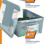 Aufbewahrungsbox von Curver im aktuellen Action Prospekt
