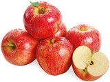 Snack Äpfel Angebote von Rewe Beste Wahl bei REWE Stralsund für 1,99 €