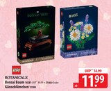 LEGO Botanicals Bonsai Baum Angebote bei famila Nordost Pinneberg für 11,99 €