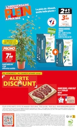 Offre Terreau universel dans le catalogue Netto du moment à la page 20