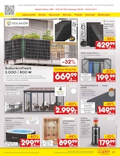 Aktueller Netto Marken-Discount Prospekt mit Terrassendielen, "Aktuelle Angebote", Seite 41