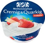 Cremig & Quarkig im Angebot bei Netto Marken-Discount in Erfurt Cremig & Quarkig Angebote von Weihenstephan bei Netto Marken-Discount Erfurt für 0,44 €
