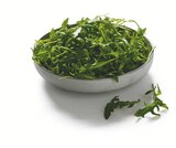 Rucola Angebot in Döbritz Rucola im aktuellen Prospekt bei Lidl in Döbritz