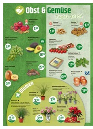 Gemüse Angebot im aktuellen V-Markt Prospekt auf Seite 4
