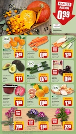 Kürbis im REWE Prospekt in Neumünster Aktueller REWE Prospekt mit Kürbis, "Dein Markt", Seite 9