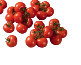 Tomaten im tegut Prospekt Strauchtomaten im aktuellen tegut Prospekt für 2,99 €