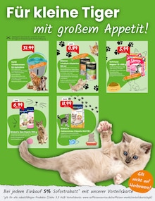 Katzenstreu im Raiffeisen Rhein-Ahr-Eifel Handelsgesellschaft mbH Prospekt "Entdecke unsere August-Angebote!" mit 6 Seiten (Bonn)