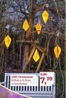 LED Ornament Angebote bei Garten-Center Nordharz GmbH & Co. KG Peine für 7,99 €