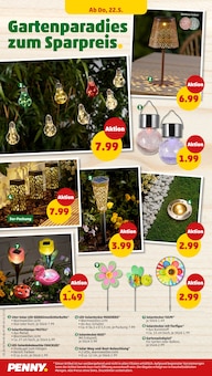 Tulpen im aktuellen Penny Prospekt (Bochum) Tulpen im Penny Prospekt "Wer günstig will, muss Penny." mit 37 Seiten (Bochum)