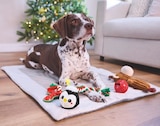 Tapis pour animaux - CACHET & ROMEO dans le catalogue Aldi