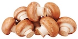 Aktuelles Braune Bio Champignons Angebot bei REWE in Duisburg ab 1,79 €