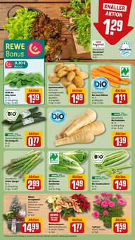 Gartenmöbel im REWE Prospekt "Dein Markt" mit 22 Seiten (Fürth)