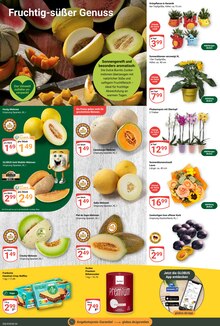 Pflanzen im aktuellen GLOBUS Prospekt (Jena) Pflanzen im GLOBUS Prospekt "Aktuelle Angebote" mit 29 Seiten (Jena)