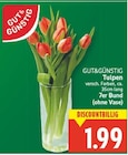 Tulpen von GUT&GÜNSTIG im aktuellen E center Prospekt