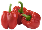 Paprika im EDEKA Prospekt Paprika rot von Gut & Günstig im aktuellen EDEKA Prospekt für 1,49 €