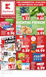 Kaufland Prospekt für Langenaltheim mit 58 Seiten Kaufland Prospekt für Langenaltheim: "Aktuelle Angebote", 58 Seiten, 09.04.2026 - 15.04.2026
