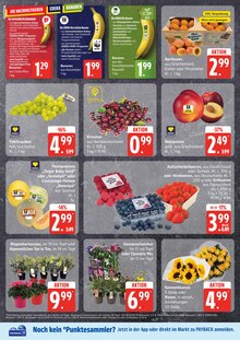 Wein Angebot im E center Prospekt, gültig von 07.07.2025 bis 12.07.2025 Wein Angebot im aktuellen E center Prospekt auf Seite 4