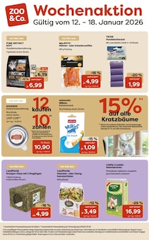 Aktueller ZOO und Co. Prospekt (Bonn, 1 Seite zum blättern ZOO und Co. Prospekt Wochenaktion mit 1 Seite