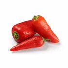 Aktuelle Paprika Angebote bei GLOBUS in Braunschweig Aktuelles Mini-Snackpaprika „Sweet“ rot Angebot bei GLOBUS in Braunschweig