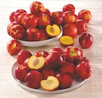 U Express - NECTARINE : offre du catalogue Promo NECTARINE à 2,95 € dans le catalogue U Express "Des bons plans à l'italienne"