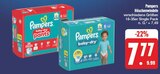 baby-dry pants im Angebot bei EDEKA in Aalen baby-dry pants Angebote von Pampers bei EDEKA Aalen für 7,77 €